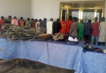 Yobe Police Post Strong Anti-Crime Results with 448 Arrests, 152 Convictions