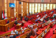 Senate Moves to Compel Facebook, TikTok, Others to Open Nigerian Offices