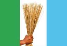 APC Releases List of 27 Governorship Candidates for 2027