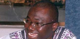 The Link Between Policing And A Developmental State In Nigeria