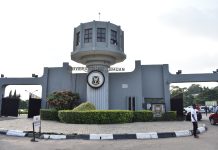 University of Ibadan VC Champions AI-Driven Business Growth