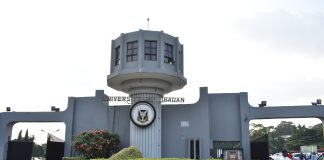 University of Ibadan VC Champions AI-Driven Business Growth