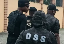 DSS Reportedly Detain Female Journalist