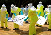 Nigeria Boosts Ebola Preparedness, Strengthens Disease Surveillance