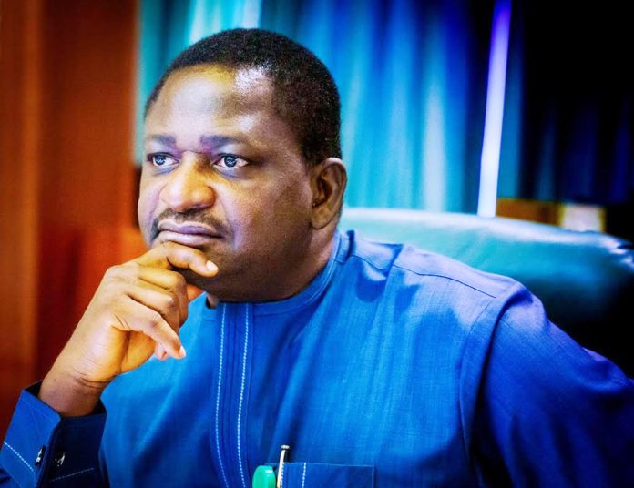 Femi-Adesina-1 (1)