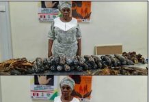 NDLEA Busts Alleged Cocaine Smuggling Operation, Arrests Nigerian-British Grandmother