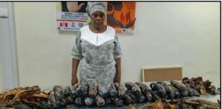 NDLEA Busts Alleged Cocaine Smuggling Operation, Arrests Nigerian-British Grandmother