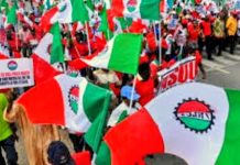 NLC Demands Increase in Minimum Wage, Improved Pension Benefits