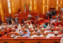 Senate Clears Bala Bello Yuguda to Lead AMCON