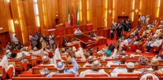 Senate Clears Bala Bello Yuguda to Lead AMCON