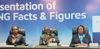 NLNG Moves to Develop Trains 8–10 Amid $150bn Revenue Milestone