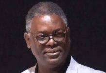 Osuntokun Reveals Obasanjo’s Preferred 2027 Presidential Ticket