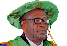 Professor Raises Alarm Over Threat of Election Manipulation in Nigeria