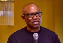 Peter Obi Decries Fresh Benue, Plateau Attacks, Seeks Lasting Security Reforms