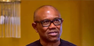 Peter Obi Decries Fresh Benue, Plateau Attacks, Seeks Lasting Security Reforms