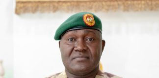 Lake Chad Basin Chair Pushes For Increased Troop Deployment To MNJTF