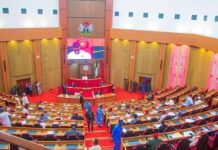 Senate Grills NFF, NSC Over Nigeria’s Poor Football Performances