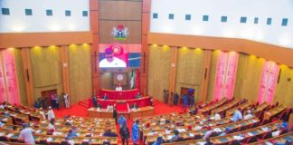 Senate Grills NFF, NSC Over Nigeria’s Poor Football Performances