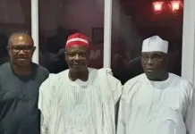 United Opposition Seeks Common Presidential Candidate for Election