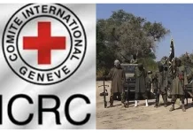Insurgency: ICRC Says 17,000 Nigerians Are Yet To Be Found