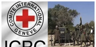 Insurgency: ICRC Says 17,000 Nigerians Are Yet To Be Found