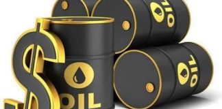 Markets React as Trump Unveils Fresh Iran Nuclear Talks, Oil Falls
