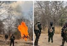 Sambisa Forest Airstrike Deals Major Blow to ISWAP as Commander, Eight Others Die