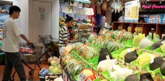 Stable Growth in China Offers Fresh Support for Global Economy