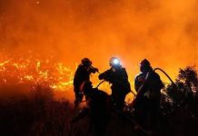 Europe Faces Huge Economic Damage as Record Heatwaves Intensify