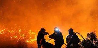 Europe Faces Huge Economic Damage as Record Heatwaves Intensify