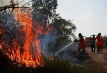 Indonesia Steps Up Aerial Efforts to Contain Forest Fires