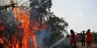 Indonesia Steps Up Aerial Efforts to Contain Forest Fires