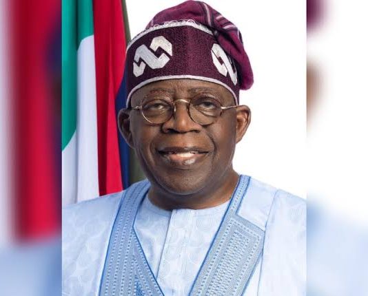 2027 presidential polls: Beyond referendum on Tinubu administration