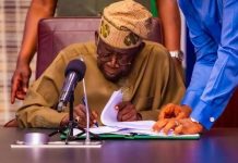 Tinubu Moves to Audit Federal Ministries, Agencies Forensically
