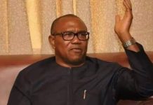 Tinubu: It Is Embarrassing For A Sitting President To Attempt Blocking Records About His Past – Peter Obi
