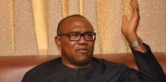 Tinubu: It Is Embarrassing For A Sitting President To Attempt Blocking Records About His Past – Peter Obi