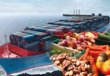 China’s Tariff-Free Trade Policy Strengthens African Export Prospects