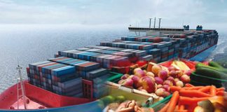 China’s Tariff-Free Trade Policy Strengthens African Export Prospects