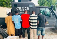Authorities Arrest Five Over Sale of Meat from Dead Cattle in Borno