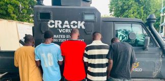 Authorities Arrest Five Over Sale of Meat from Dead Cattle in Borno