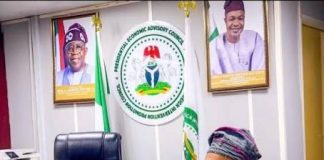 New N400 Million Bribery Allegation Puts PFIPC Investigation Under Spotlight