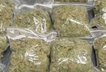 Ekiti Police Prosecute Five Suspects Over Indian Hemp Possession