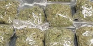 Ekiti Police Prosecute Five Suspects Over Indian Hemp Possession