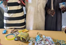 Midnight Attack: Adamawa Son Allegedly Conspires To Rob His Mother