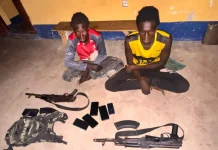 Two Suspected ISWAP Terrorists Abandon Group, Surrender in Borno