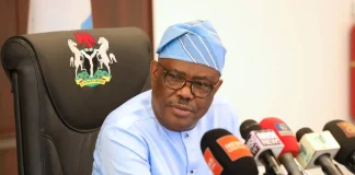 Wike’s Rainbow Coalition: Broadening Tinubu’s Base or Challenging the APC