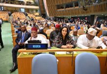 UNGA: Odumegwu-Ojukwu Praises Nigeria’s Strong Delegation