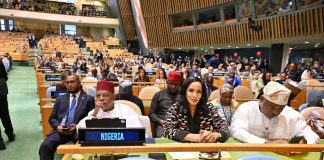 UNGA: Odumegwu-Ojukwu Praises Nigeria’s Strong Delegation