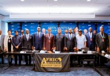 Tinubu Advocates Value Addition to Africa’s Mineral Resources