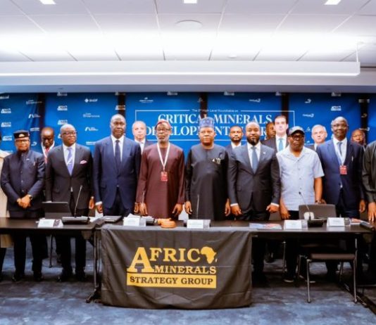 Tinubu Advocates Value Addition to Africa’s Mineral Resources
